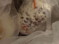 -宫门口馒头铺(创始人总店)