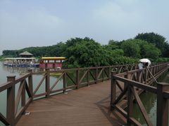-海珠湖公园