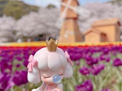 -苏州上方山国家森林公园
