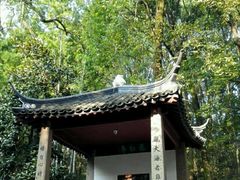 -灵岩山风景区