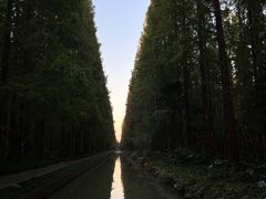 -上海怡沁园度假酒店