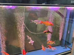 -老杨头烧烤(博烤堂店)