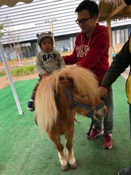 -萌宠亲子动物乐园(槐房万达店)