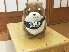 -豆柴町-柴犬主题狗咖(红鼎国际C座店)