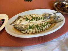 -船歌·鱼水饺青岛菜(石老人店)