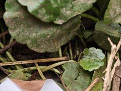 -白鹭湾湿地公园