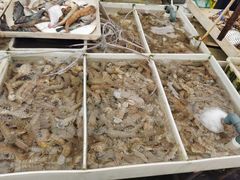 -毕家疃综合市场