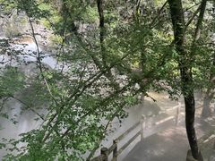 -牛背梁国家森林公园