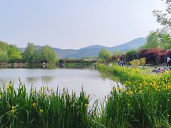 -石塘人家