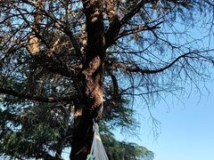 -阳澄湖半岛旅游度假区