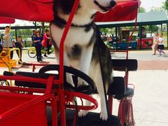 -上海长兴岛郊野公园