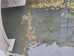 -湘湖金融镇