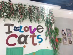 -藏猫猫咖啡主题馆(中央大道店)