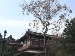-西安青龙寺遗址景区