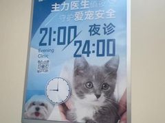 -美联众合爱康动物医院•复杂内科•肿瘤科•牙科•腔镜诊疗中心