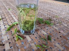 -阿巧茶庄