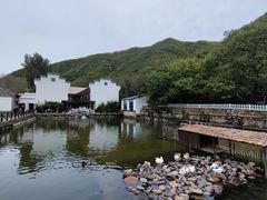 -荷塘味道(水长城店)