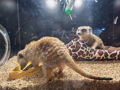 -太平洋海底世界