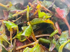 -古道第一家餐馆