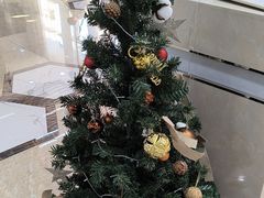 -茂菊口腔连锁(浦东南路店)