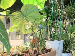 -懒人盐府人家(航天桥店)