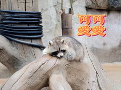 -杭州野生动物世界
