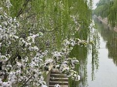 -元大都城垣遗址公园