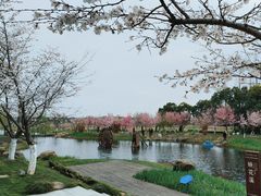 -长田漾湿地公园