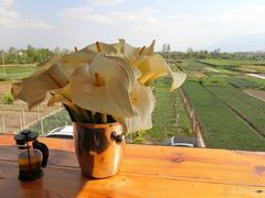 -翠田Green Field Kitchen
