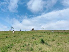 -龙里油画大草原旅游区