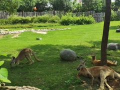 -泉州海丝野生动物世界