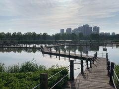 -南湖湿地公园