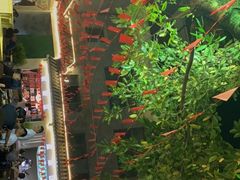-老幺泉水鸡