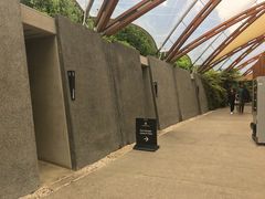 -怀托摩萤火虫洞