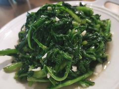 茼蒿-老火大骨头汤馆