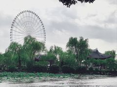 -无锡蠡湖国家湿地公园-蠡园