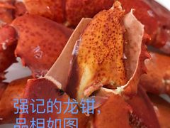 白灼龙虾钳-强记龙虾钳(定安里店)