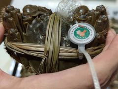 -一棠龙虾•王牌虾球(楚河汉街店)