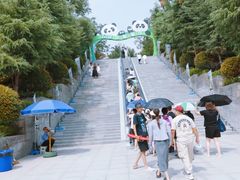 -五龙山野生动物王国