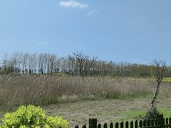 -盐城丹顶鹤湿地生态旅游区