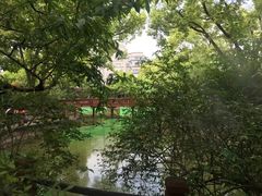 -亭林公园