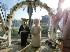 -济州岛泰迪熊博物馆