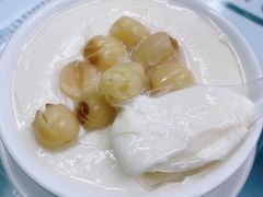 莲子双皮奶-义顺牛奶公司
