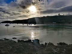 -怀希基岛