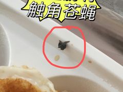 -华辉拉肠(金沙洲店)