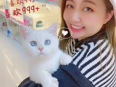 -lincat·猫舍(广州店)
