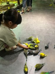 -酷嗒动物文化乐园(cutezoo西溪乐天城店)