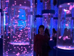 -石林冰雪海洋世界