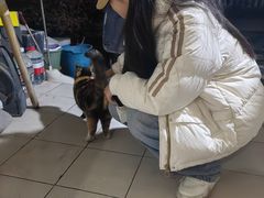 -十八家客栈(凤翔山庄店)