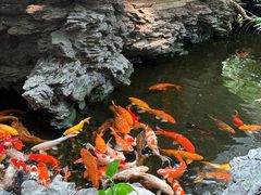 -广州白天鹅宾馆